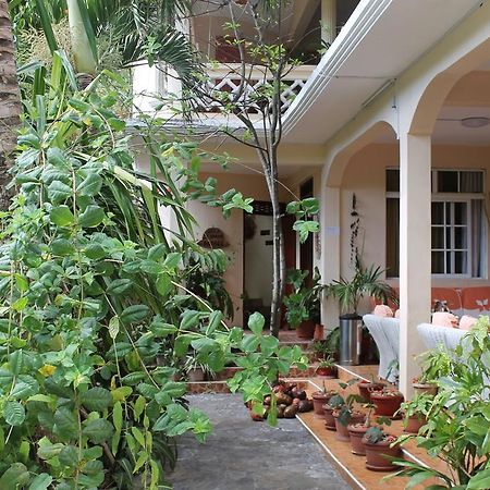 Villa Le Chapo Port Mathurin Eksteriør billede